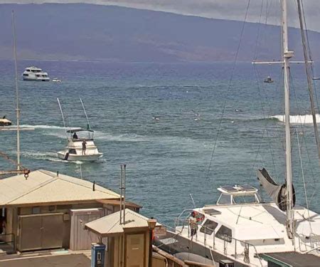 Lahaina Harbor & Breakwall Webcam